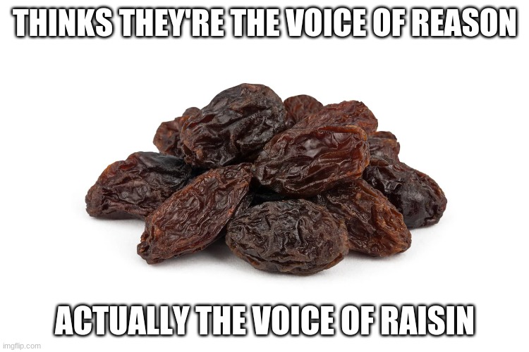 Voice of Raisin | THINKS THEY'RE THE VOICE OF REASON; ACTUALLY THE VOICE OF RAISIN | image tagged in raisin,karen,white,potato salad | made w/ Imgflip meme maker