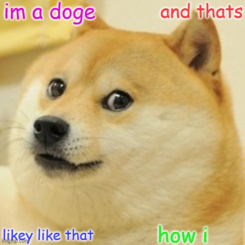 Doge | im a doge; and thats; how i; likey like that | image tagged in memes,doge | made w/ Imgflip meme maker