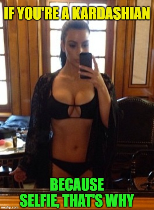 IF YOU'RE A KARDASHIAN BECAUSE SELFIE, THAT'S WHY | made w/ Imgflip meme maker