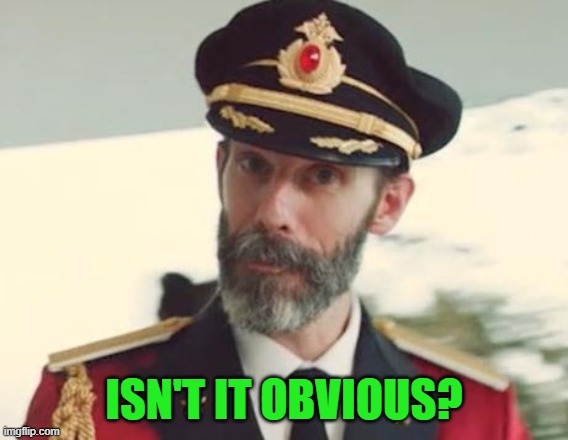 Captain Obvious | ISN'T IT OBVIOUS? | image tagged in captain obvious | made w/ Imgflip meme maker