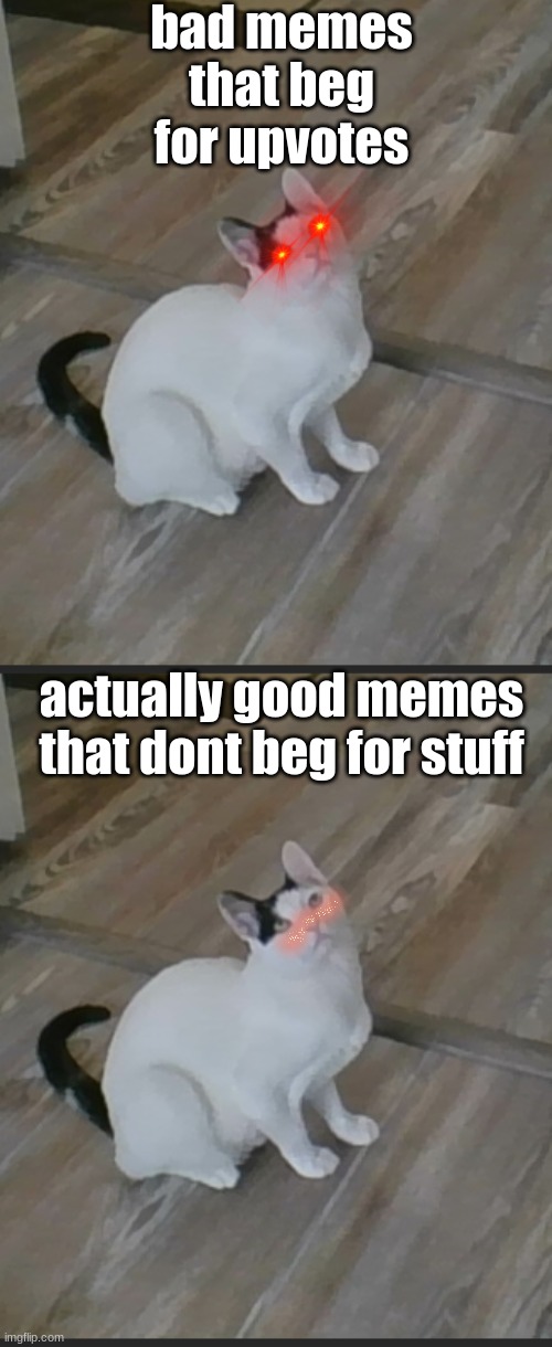 ikr | bad memes that beg for upvotes; actually good memes that dont beg for stuff | image tagged in noko looking up | made w/ Imgflip meme maker