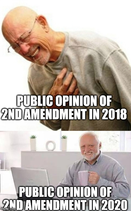 PUBLIC OPINION OF 2ND AMENDMENT IN 2018; PUBLIC OPINION OF 2ND AMENDMENT IN 2020 | image tagged in memes,right in the childhood,hide the pain harold | made w/ Imgflip meme maker