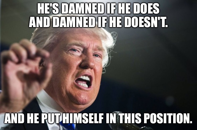 donald trump | HE'S DAMNED IF HE DOES AND DAMNED IF HE DOESN'T. AND HE PUT HIMSELF IN THIS POSITION. | image tagged in donald trump | made w/ Imgflip meme maker