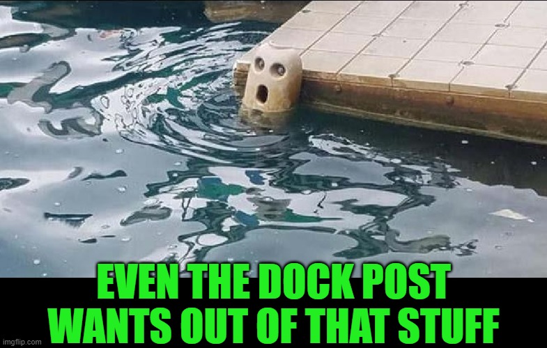 EVEN THE DOCK POST WANTS OUT OF THAT STUFF | made w/ Imgflip meme maker