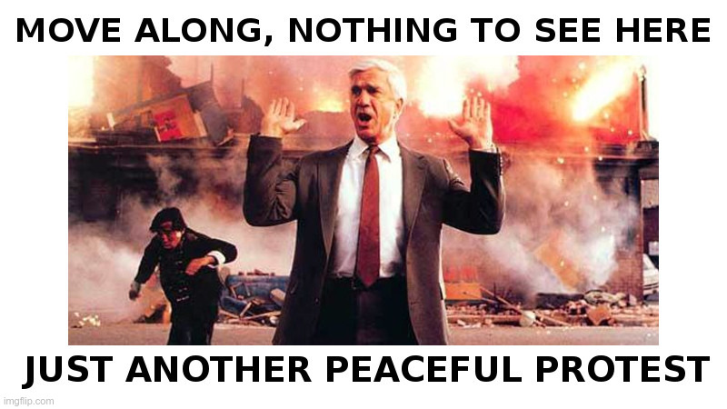 Just Another Peaceful Protest | image tagged in peaceful,protest,leslie nielsen,thugs,looters,liberals | made w/ Imgflip meme maker