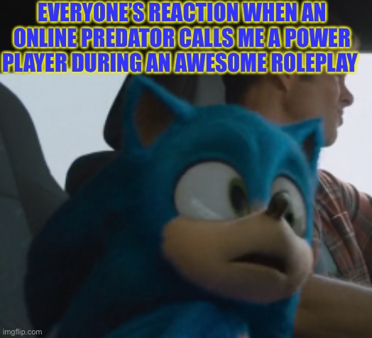 Sonic | EVERYONE’S REACTION WHEN AN ONLINE PREDATOR CALLS ME A POWER PLAYER DURING AN AWESOME ROLEPLAY | image tagged in sonic | made w/ Imgflip meme maker