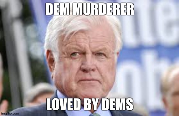 ted kennedy | DEM MURDERER LOVED BY DEMS | image tagged in ted kennedy | made w/ Imgflip meme maker