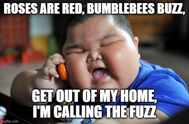 Trash post | ROSES ARE RED, BUMBLEBEES BUZZ, GET OUT OF MY HOME, I'M CALLING THE FUZZ | image tagged in fat asian kid,oof | made w/ Imgflip meme maker