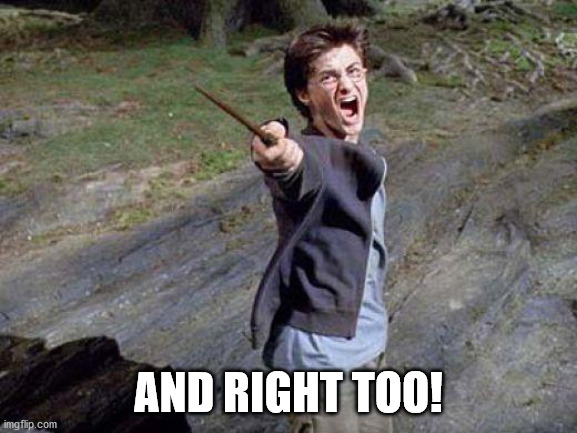 Harry Potter Yelling | AND RIGHT TOO! | image tagged in harry potter yelling | made w/ Imgflip meme maker