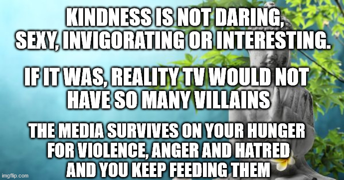 Give Peace A Chance | KINDNESS IS NOT DARING, SEXY, INVIGORATING OR INTERESTING. IF IT WAS, REALITY TV WOULD NOT 
HAVE SO MANY VILLAINS; THE MEDIA SURVIVES ON YOUR HUNGER 
FOR VIOLENCE, ANGER AND HATRED
AND YOU KEEP FEEDING THEM | image tagged in buddha peaceful,racism,hatred | made w/ Imgflip meme maker