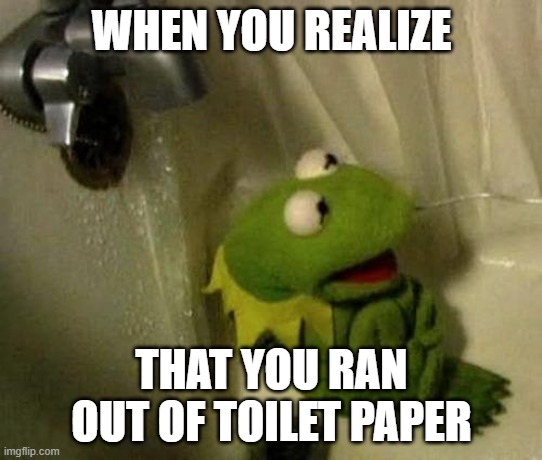 COIVD-19 | WHEN YOU REALIZE; THAT YOU RAN OUT OF TOILET PAPER | image tagged in kermit on shower | made w/ Imgflip meme maker
