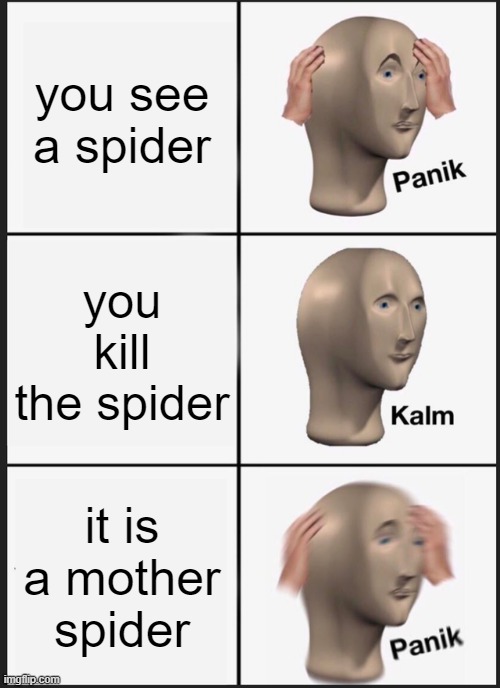 Panik Kalm Panik Meme | you see a spider; you kill the spider; it is a mother spider | image tagged in memes,panik kalm panik | made w/ Imgflip meme maker