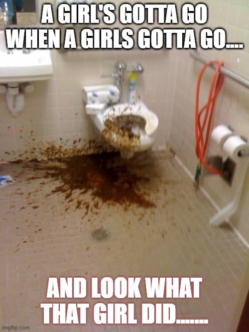 Girls poop too | A GIRL'S GOTTA GO WHEN A GIRLS GOTTA GO.... AND LOOK WHAT THAT GIRL DID....... | image tagged in girls poop too | made w/ Imgflip meme maker