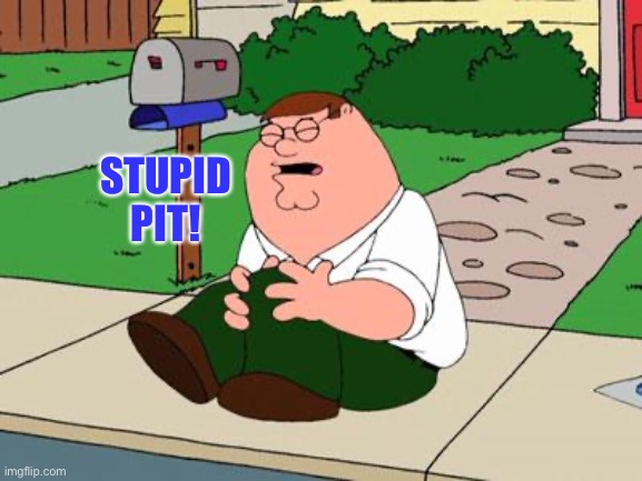 Family Guy Knee | STUPID PIT! | image tagged in family guy knee | made w/ Imgflip meme maker