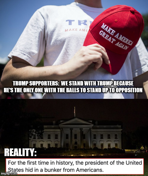 Guess that's where he's been hiding those balls maybe? | TRUMP SUPPORTERS:  WE STAND WITH TRUMP BECAUSE HE'S THE ONLY ONE WITH THE BALLS TO STAND UP TO OPPOSITION; REALITY: | image tagged in donald trump,coward | made w/ Imgflip meme maker