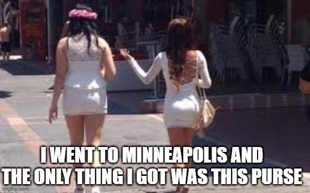 What was that guys Name? | I WENT TO MINNEAPOLIS AND THE ONLY THING I GOT WAS THIS PURSE | image tagged in walk of shame,riots | made w/ Imgflip meme maker