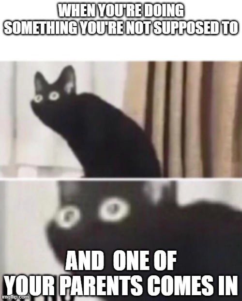 We all do these thingies | WHEN YOU'RE DOING SOMETHING YOU'RE NOT SUPPOSED TO; AND  ONE OF YOUR PARENTS COMES IN | image tagged in oh no cat,funny memes | made w/ Imgflip meme maker