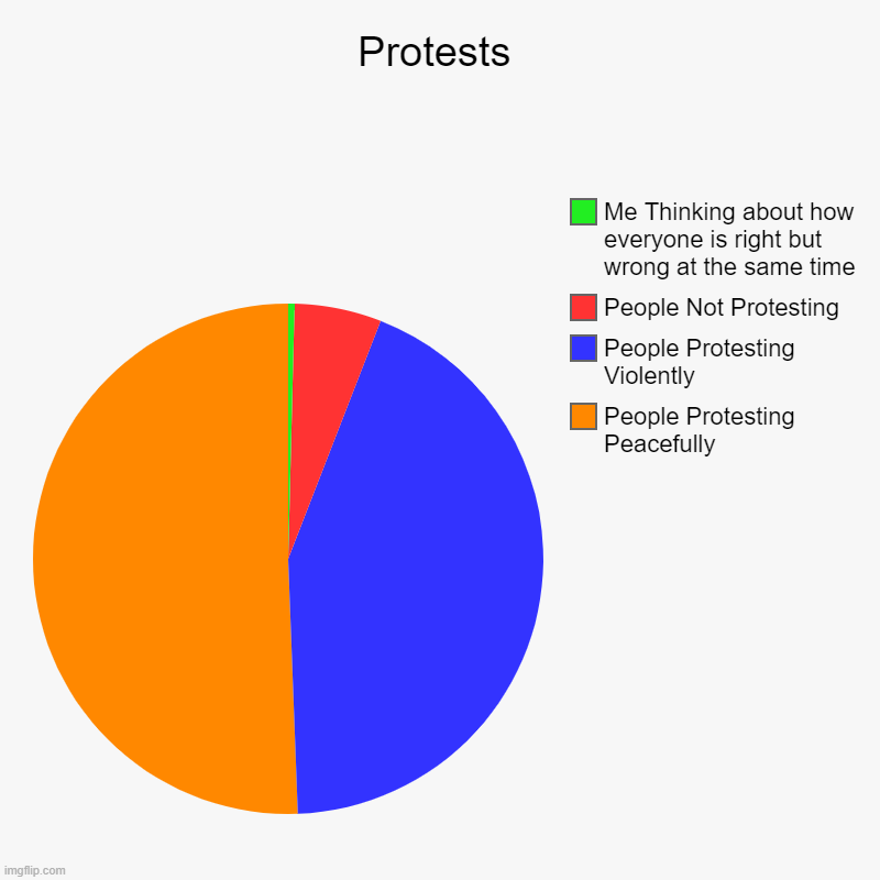 Protests | People Protesting Peacefully, People Protesting Violently, People Not Protesting, Me Thinking about how everyone is right but wro | image tagged in charts,pie charts | made w/ Imgflip chart maker