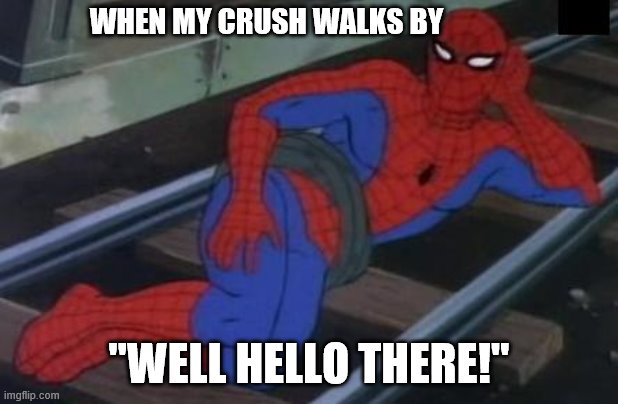 Sexy Railroad Spiderman | WHEN MY CRUSH WALKS BY; "WELL HELLO THERE!" | image tagged in memes,sexy railroad spiderman,spiderman | made w/ Imgflip meme maker