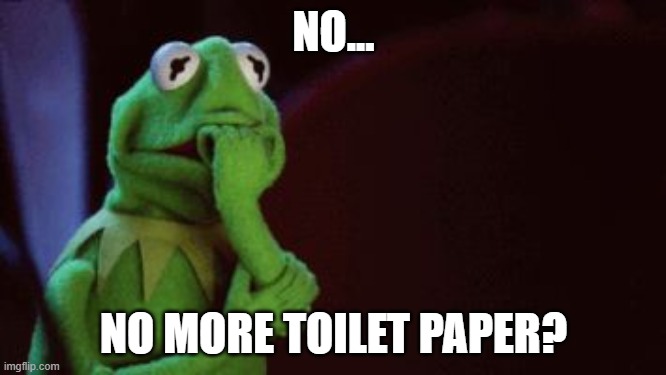 TOILET PAPER | NO... NO MORE TOILET PAPER? | image tagged in nervous kermit | made w/ Imgflip meme maker