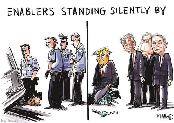 Enablers standing in silence | image tagged in riots,george floyd,conservatives,trump supporter,trump | made w/ Imgflip meme maker