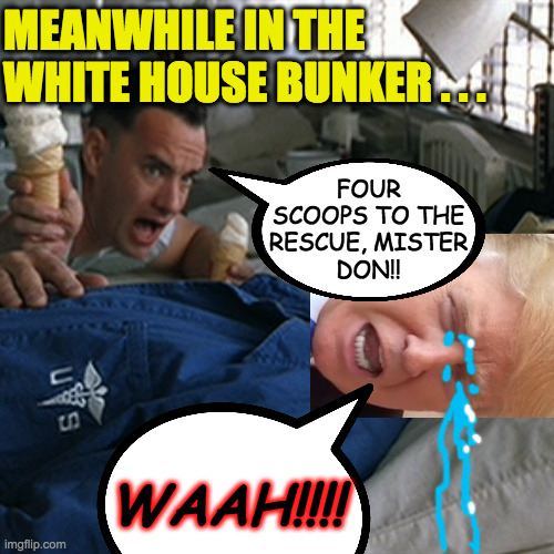 I think somebody needs a nap  ( : | MEANWHILE IN THE WHITE HOUSE BUNKER . . . FOUR
SCOOPS TO THE
RESCUE, MISTER
DON!! WAAH!!!! | image tagged in memes,mister trump ice cream,bunker boy | made w/ Imgflip meme maker