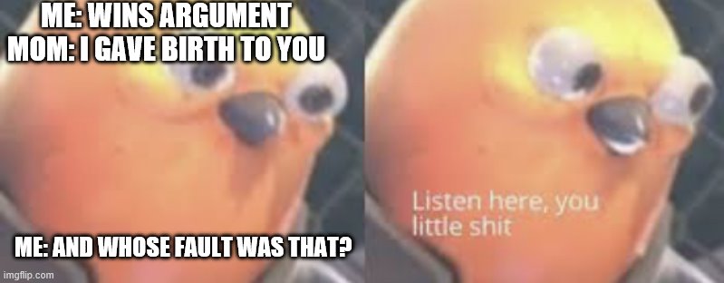 Listen here you little shit bird | ME: WINS ARGUMENT
MOM: I GAVE BIRTH TO YOU; ME: AND WHOSE FAULT WAS THAT? | image tagged in listen here you little shit bird | made w/ Imgflip meme maker