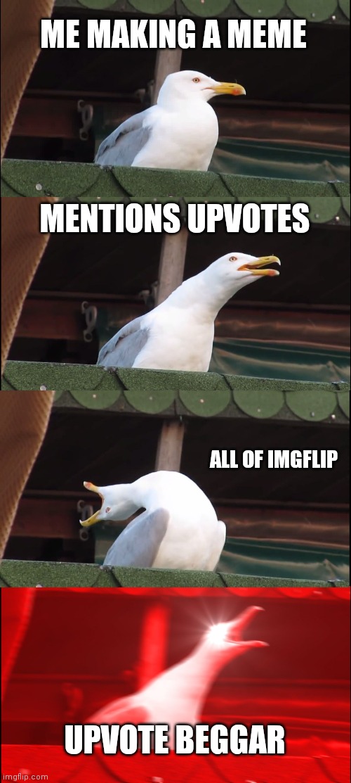 True | ME MAKING A MEME; MENTIONS UPVOTES; ALL OF IMGFLIP; UPVOTE BEGGAR | image tagged in memes,inhaling seagull | made w/ Imgflip meme maker