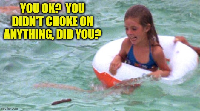 YOU OK?  YOU DIDN'T CHOKE ON ANYTHING, DID YOU? | made w/ Imgflip meme maker