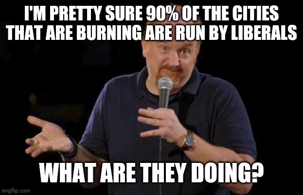 Louis ck but maybe | I'M PRETTY SURE 90% OF THE CITIES THAT ARE BURNING ARE RUN BY LIBERALS WHAT ARE THEY DOING? | image tagged in louis ck but maybe | made w/ Imgflip meme maker