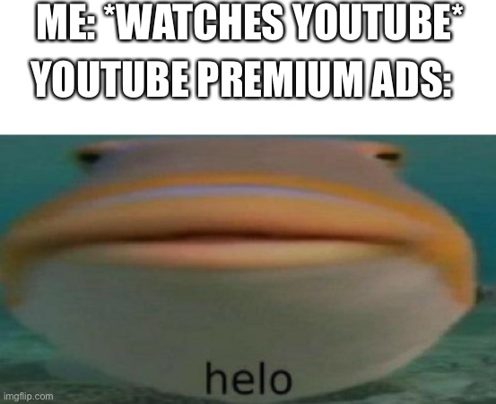 helo | ME: *WATCHES YOUTUBE*; YOUTUBE PREMIUM ADS: | image tagged in helo | made w/ Imgflip meme maker