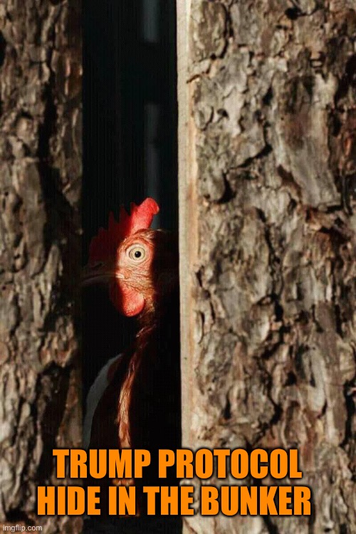 TRUMP PROTOCOL HIDE IN THE BUNKER | made w/ Imgflip meme maker