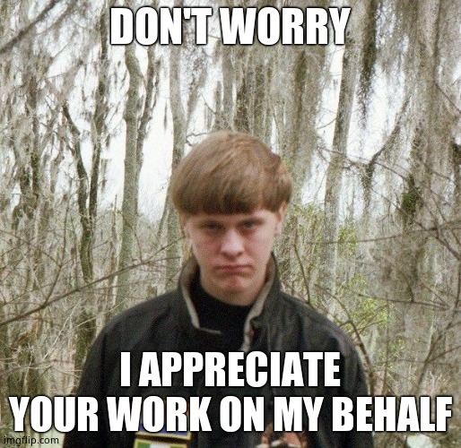 dylan roof | DON'T WORRY I APPRECIATE YOUR WORK ON MY BEHALF | image tagged in dylan roof | made w/ Imgflip meme maker