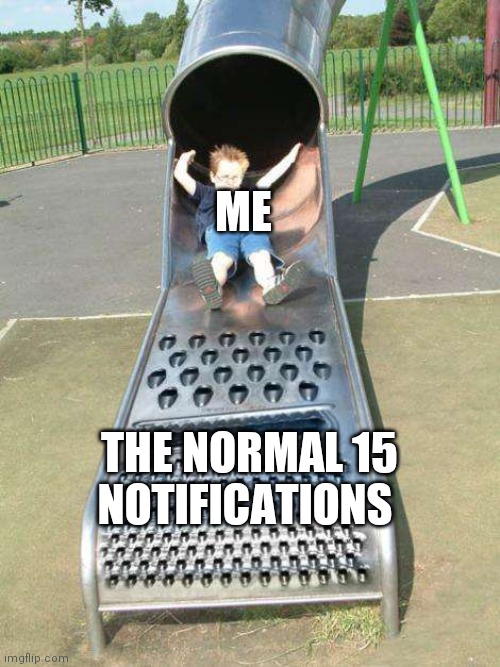 Cheese Grater Slide | ME; THE NORMAL 15 NOTIFICATIONS | image tagged in cheese grater slide | made w/ Imgflip meme maker