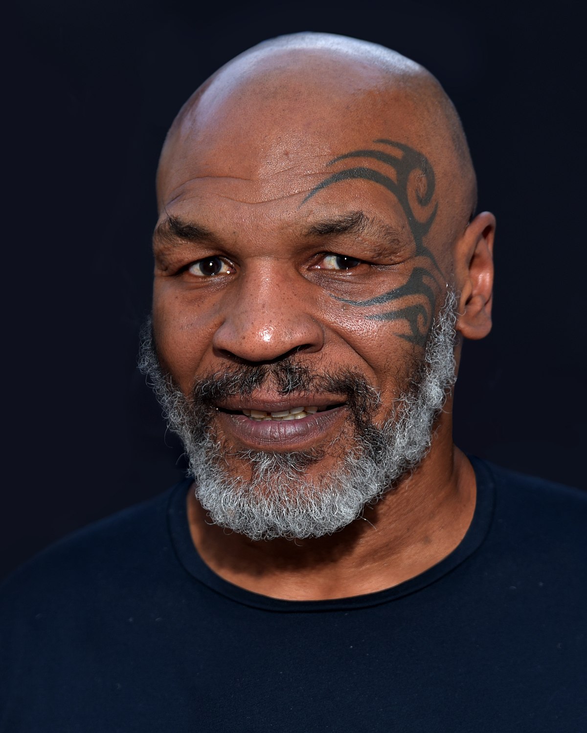 Mike Tyson Blank Meme Template