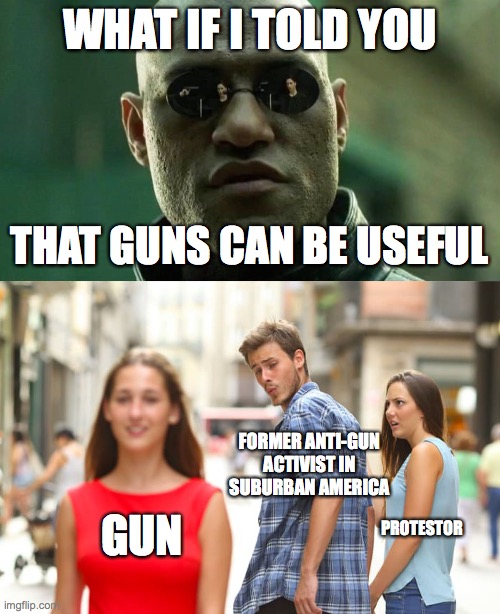 WHAT IF I TOLD YOU; THAT GUNS CAN BE USEFUL; FORMER ANTI-GUN ACTIVIST IN SUBURBAN AMERICA; GUN; PROTESTOR | image tagged in memes,distracted boyfriend,memes | made w/ Imgflip meme maker