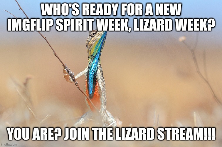 https://imgflip.com/m/LIZARDS |  WHO'S READY FOR A NEW IMGFLIP SPIRIT WEEK, LIZARD WEEK? YOU ARE? JOIN THE LIZARD STREAM!!! | image tagged in lizard | made w/ Imgflip meme maker