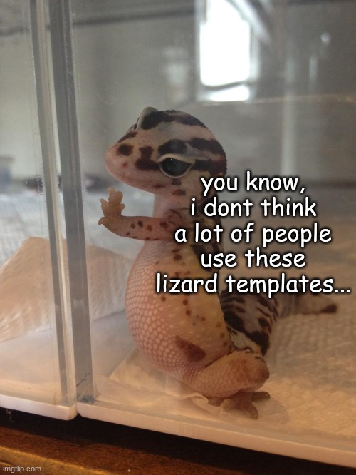 *sad lizard noises* | you know, i dont think a lot of people use these lizard templates... | image tagged in photogenic lizard | made w/ Imgflip meme maker