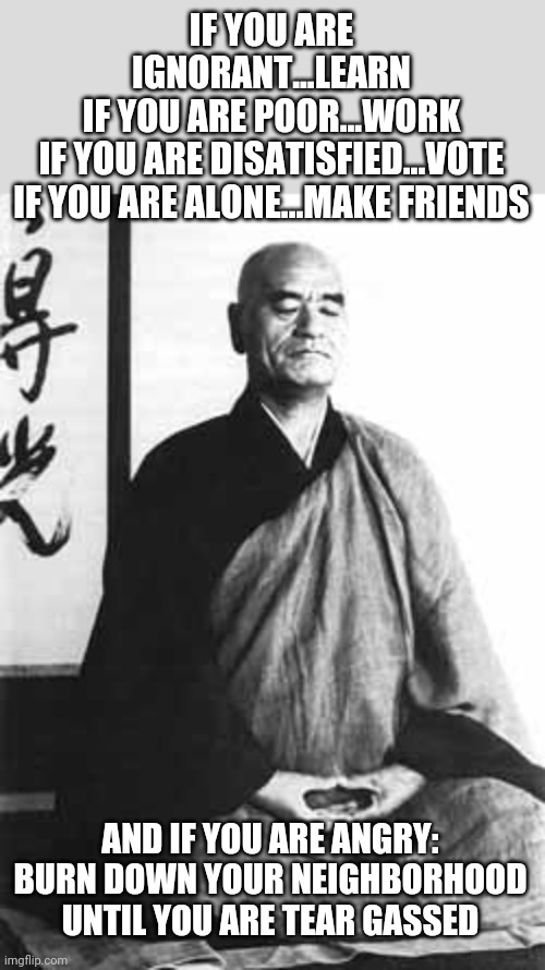 Zen advice for 2020 America | IF YOU ARE IGNORANT...LEARN
IF YOU ARE POOR...WORK
IF YOU ARE DISATISFIED...VOTE
IF YOU ARE ALONE...MAKE FRIENDS; AND IF YOU ARE ANGRY: BURN DOWN YOUR NEIGHBORHOOD UNTIL YOU ARE TEAR GASSED | image tagged in zen master,2020 | made w/ Imgflip meme maker