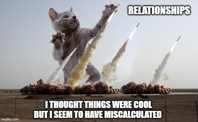RELATIONSHIPS; I THOUGHT THINGS WERE COOL
BUT I SEEM TO HAVE MISCALCULATED | image tagged in cats,funny memes,memes,i love you | made w/ Imgflip meme maker