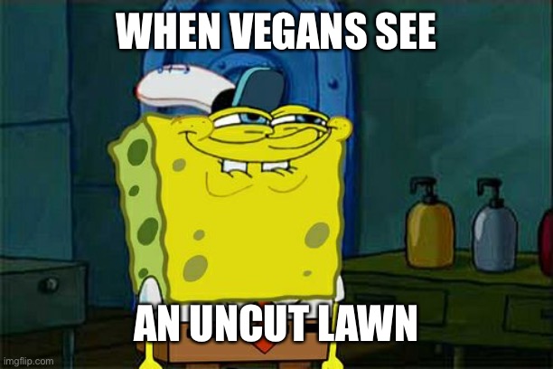 Don't You Squidward Meme | WHEN VEGANS SEE; AN UNCUT LAWN | image tagged in memes,don't you squidward | made w/ Imgflip meme maker