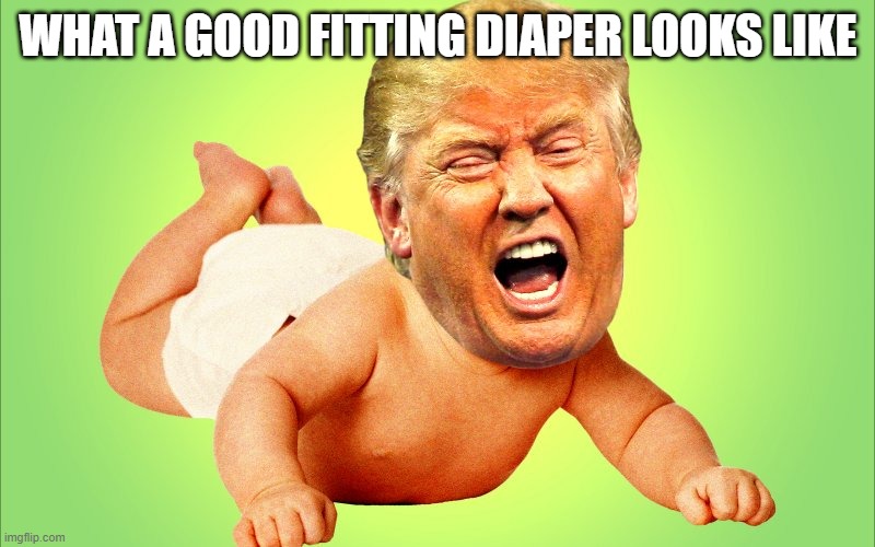 Baby Trump | WHAT A GOOD FITTING DIAPER LOOKS LIKE | image tagged in baby trump | made w/ Imgflip meme maker