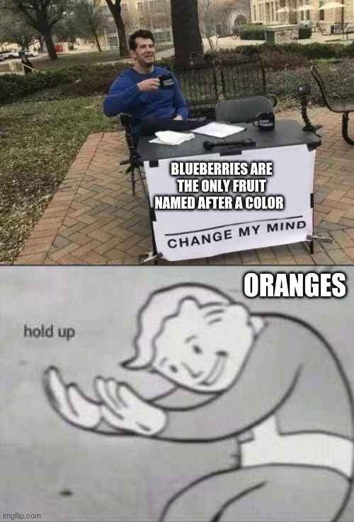 BLUEBERRIES ARE THE ONLY FRUIT NAMED AFTER A COLOR; ORANGES | image tagged in memes,change my mind,fallout hold up | made w/ Imgflip meme maker