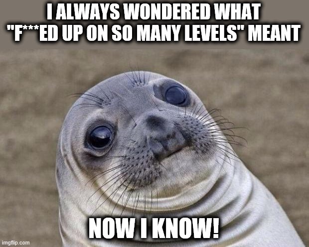 Awkward Moment Sealion Meme | I ALWAYS WONDERED WHAT "F***ED UP ON SO MANY LEVELS" MEANT NOW I KNOW! | image tagged in memes,awkward moment sealion | made w/ Imgflip meme maker