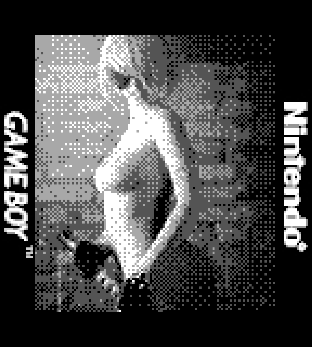 Gameboy Camera Blank Meme Template