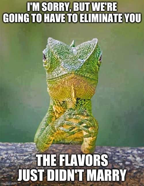 Sorry your dish had to be chopped | I'M SORRY, BUT WE'RE GOING TO HAVE TO ELIMINATE YOU; THE FLAVORS JUST DIDN'T MARRY | image tagged in sarcastic lizard,chopped,idk,why not | made w/ Imgflip meme maker