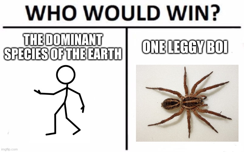 leggy boi | THE DOMINANT SPECIES OF THE EARTH; ONE LEGGY BOI | image tagged in memes,who would win | made w/ Imgflip meme maker