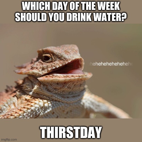 Thanks, Mr. Goodwater! | WHICH DAY OF THE WEEK SHOULD YOU DRINK WATER? THIRSTDAY | image tagged in laughing lizard | made w/ Imgflip meme maker