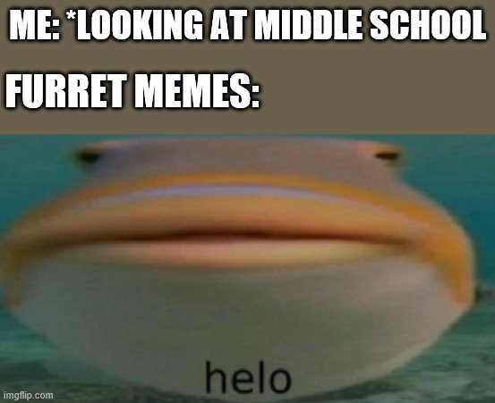 helo | ME: *LOOKING AT MIDDLE SCHOOL; FURRET MEMES: | image tagged in helo | made w/ Imgflip meme maker