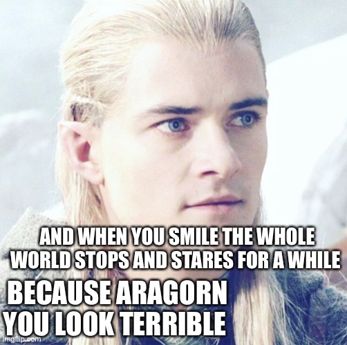 AND WHEN YOU SMILE THE WHOLE WORLD STOPS AND STARES FOR A WHILE; BECAUSE ARAGORN YOU LOOK TERRIBLE | image tagged in bruno mars,lord of the rings,legolas,aragorn | made w/ Imgflip meme maker